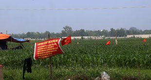 a1-1113-1493010642