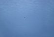 us-marine-f-35b-fighter-jets-land-in-japan-1484837657918