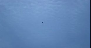 us-marine-f-35b-fighter-jets-land-in-japan-1484837657918