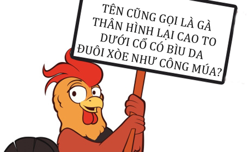 Cái gì đi nhai, đứng ngậm, ngồi cười?