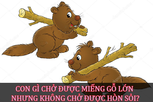 Cái gì đi nhai, đứng ngậm, ngồi cười?