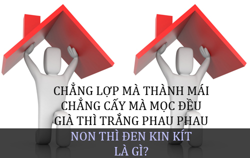 Cái gì đi nhai, đứng ngậm, ngồi cười?