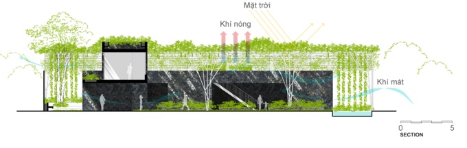 Công viên thu nhỏ trồng toàn rau của chủ nhà Sài Gòn