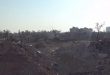 alqaboun-15-5-1494820907249-0f771