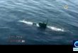 hai-quan-iran-phong-ngu-loi-gan-tau-san-bay-my_91441669