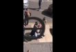 manchester-attack-police-hunt-network-behind-bomber-youtube-1495675628647