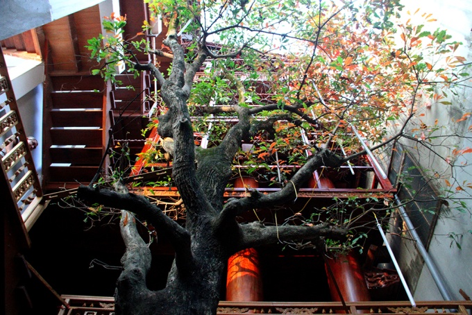 Nhà gỗ 30 tỷ ở Hà Tĩnh