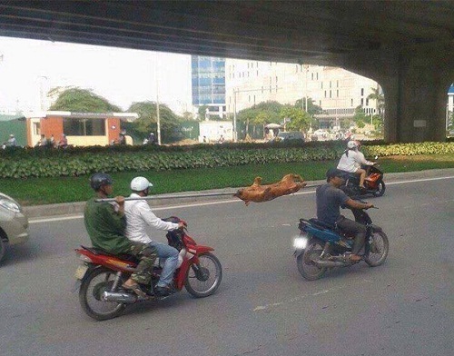 10 hình ảnh hot nhất đợt nắng nóng kỷ lục
