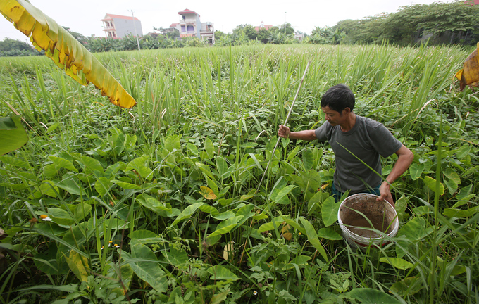Người đàn ông 27 năm theo nghề câu lươn