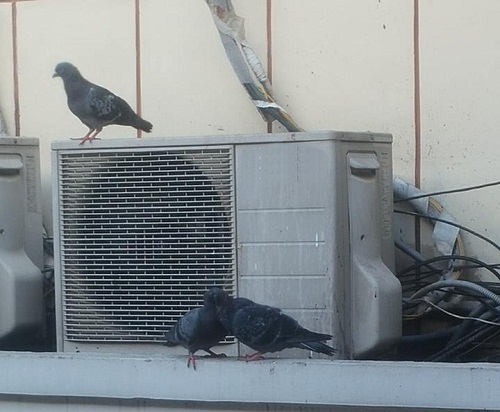 10 ảnh hài hot nhất Facebook trong ngày