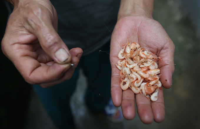 Người đàn ông 27 năm theo nghề câu lươn