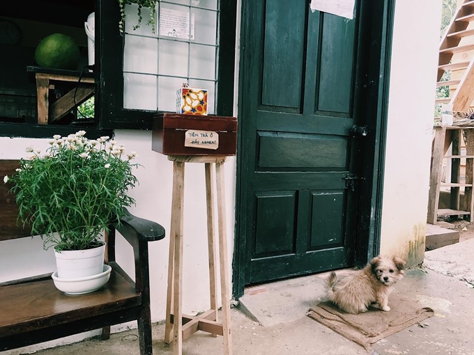Quán trà Đà Lạt để khách tự trả tiền khi chủ đi vắng