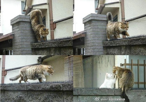 10 ảnh hài hot nhất Facebook trong ngày