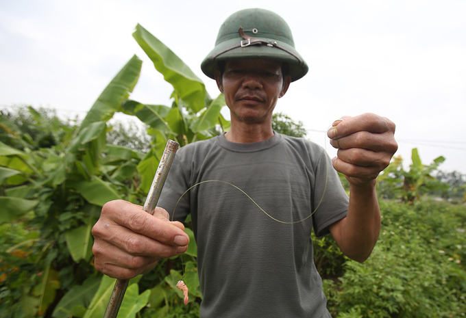 Người đàn ông 27 năm theo nghề câu lươn