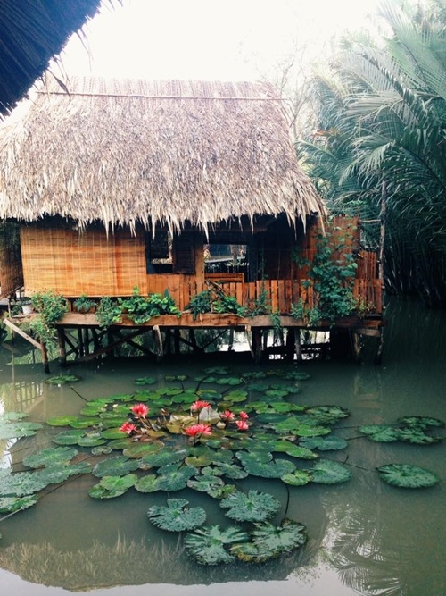 Homestay nổi trên mặt nước ở ngoại ô Sài Gòn