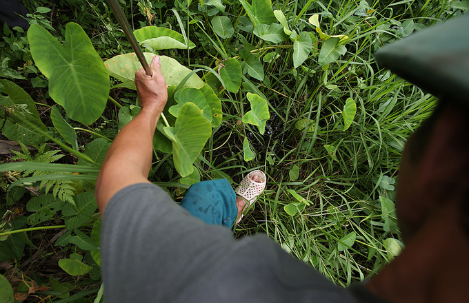 Người đàn ông 27 năm theo nghề câu lươn