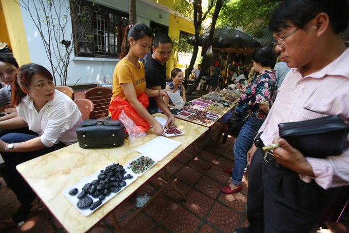 Chợ phiên đá quý nhộn nhịp giữa Thủ đô