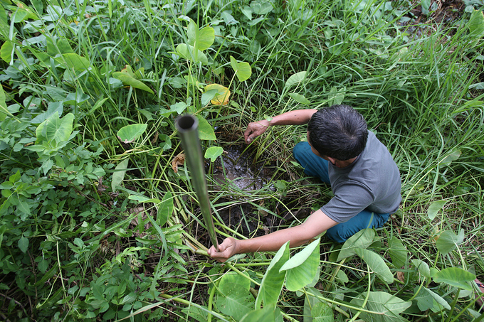 Người đàn ông 27 năm theo nghề câu lươn