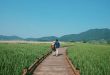 Suncheonman-Bay-Wetland-3-1500454838_680x0