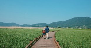 Suncheonman-Bay-Wetland-3-1500454838_680x0
