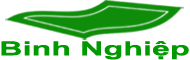 Binh Nghiệp Việt Nam