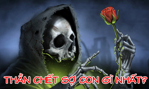Thần Chết sợ con gì nhất?