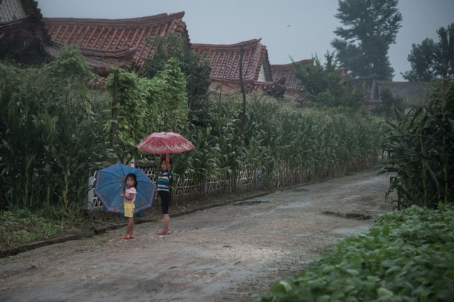 Muôn màu cuộc sống ngày hè ở Triều Tiên
