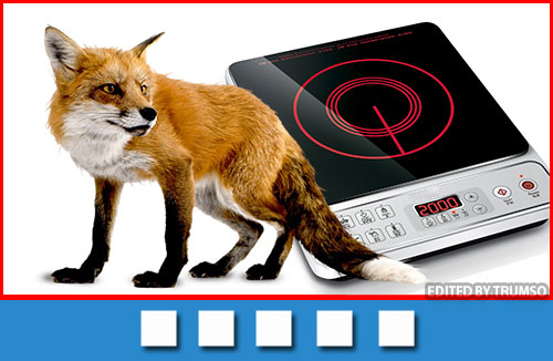 Con cáo đứng cạnh bếp từ cho ta bắt được chữ gì?