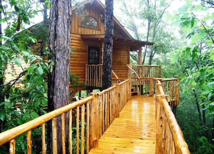 10 khách sạn trên cây đẹp nhất thế giới