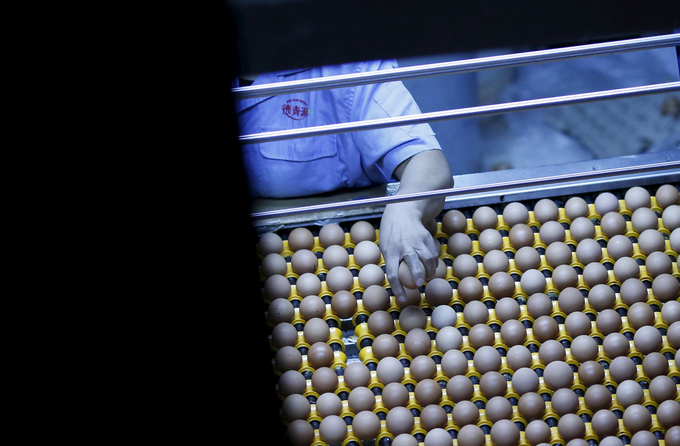 Những nhà máy thực phẩm khổng lồ của Trung Quốc