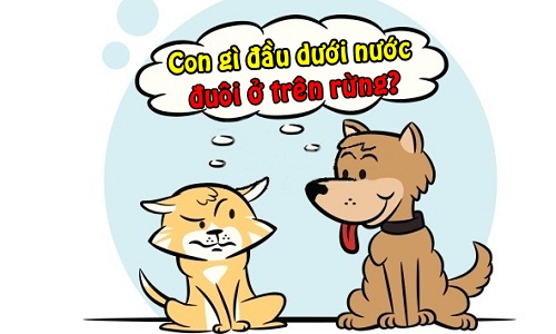 Con gì đầu dưới nước, đuôi ở trên rừng?