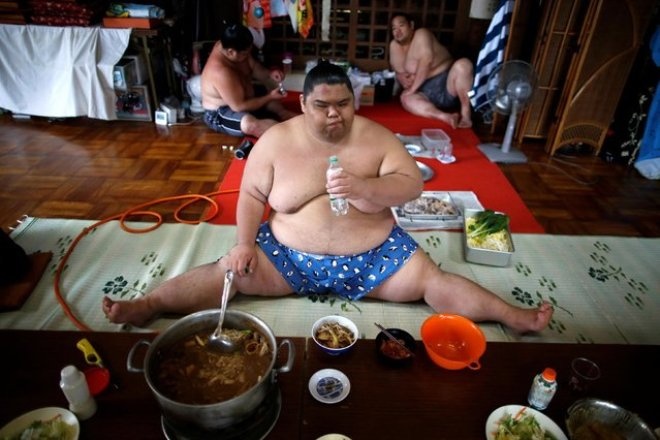 Bí mật về cuộc sống của đô vật sumo Nhật Bản