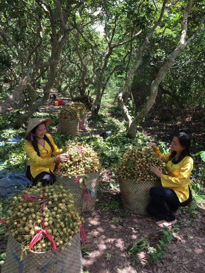 Ba ngày hai đêm vui thú miệt vườn miền Tây dịp 2/9