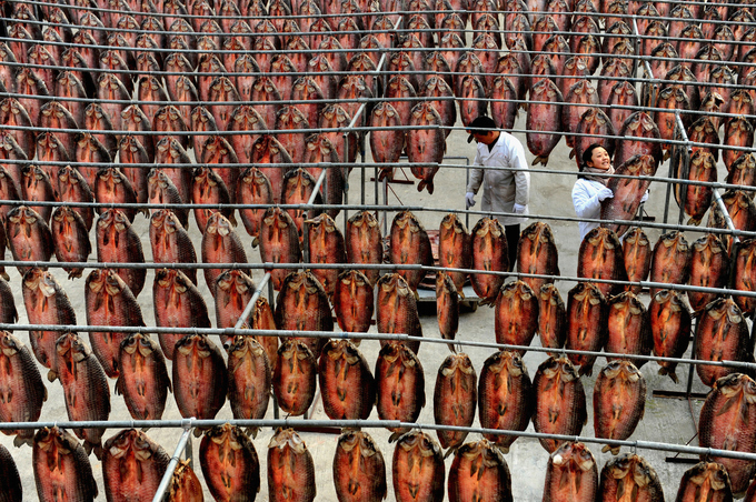 Những nhà máy thực phẩm khổng lồ của Trung Quốc