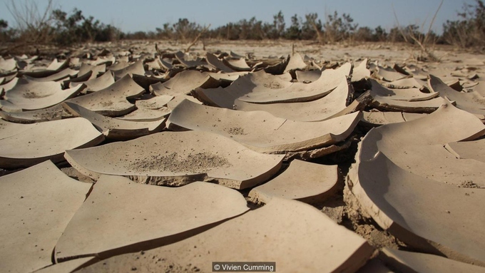 Cuộc sống ở nơi nhiệt kế thường xuyên chỉ 50 độ C