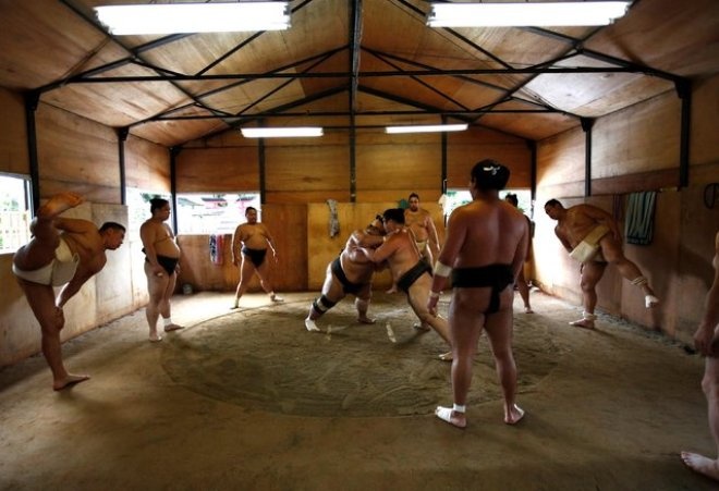 Bí mật về cuộc sống của đô vật sumo Nhật Bản