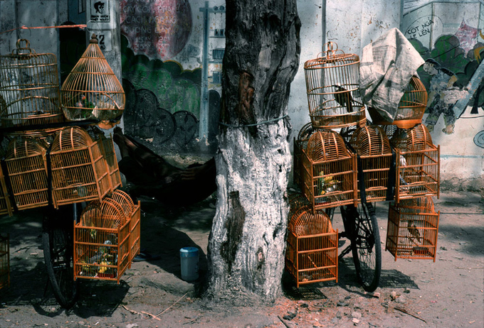 Ảnh Cần Thơ 20 năm trước của du khách nước ngoài