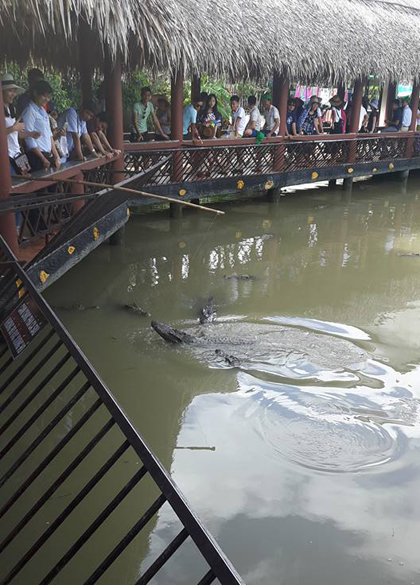 Ba ngày hai đêm vui thú miệt vườn miền Tây dịp 2/9