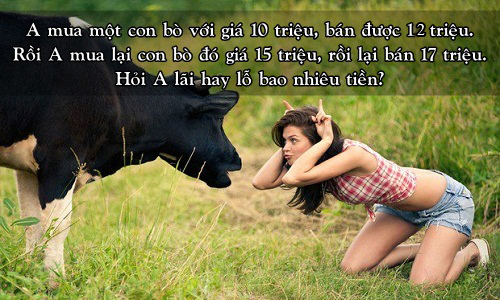 Bài toán tính lãi bán bò khiến nhiều người chào thua, còn bạn?