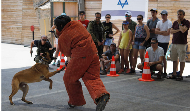 Khóa huấn luyện “chống khủng bố” hút khách du lịch ở Israel