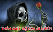 Con gì đầu dưới nước, đuôi ở trên rừng?