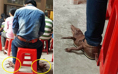 Chàng trai đi giày cá sấu nguyên con 'giá chục triệu' gây tranh cãi