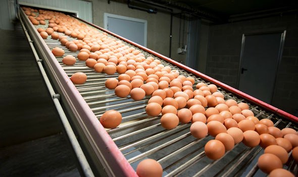 Thêm một quốc gia châu Âu phát hiện sản phẩm "trứng bẩn"