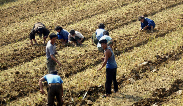 Cuộc sống của lao động Triều Tiên tại Trung Quốc