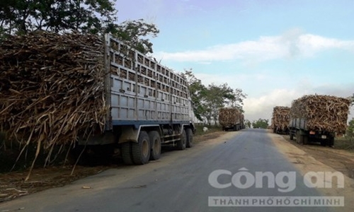 'Người mẫu kiện chồng đại gia bạo hành' nóng trên mạng xã hội
